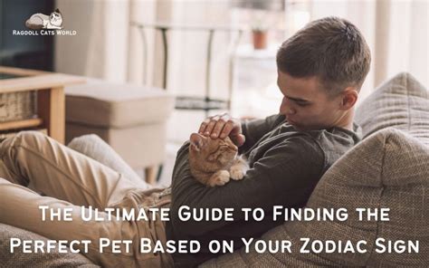 The Ultimate Guide To Finding The Perfect Pet Based On Your Zodiac Sign