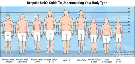 The Ultimate Guide To Male Body Types Male Body Shape Vrogue Co