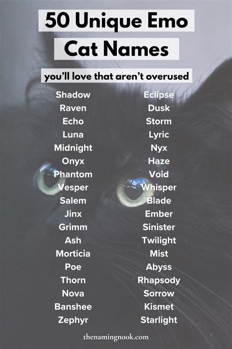 The Ultimate List Of Emo Cat Names Cute Cat Names Unique Cat Names Cute Kitten Names In 2024