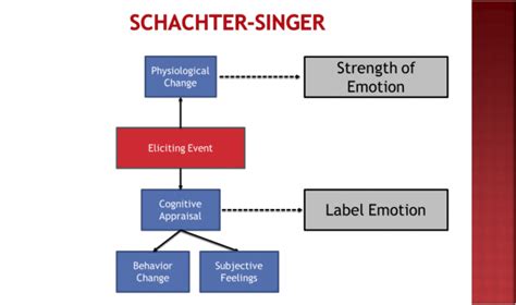Theory Of Emotion Schachter Singer