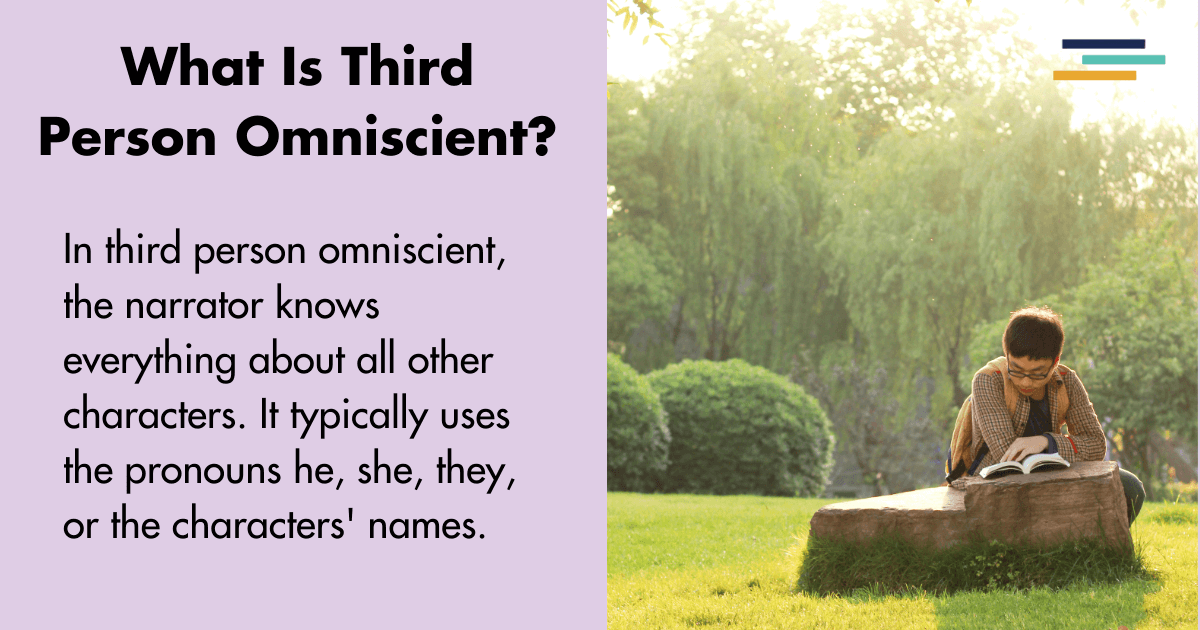 Third Person Omniscient Bird S Eye View Narratives