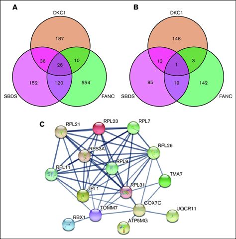Three Way Venn Diagrams Detailing The Overlap Between Significantly