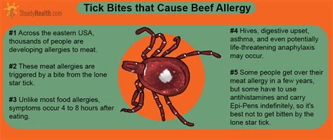 Tick Disease Causing Allergy To Red Meat On Rise In Ks Mo Kansas Tick Disease Causing Allergy To Red Meat On Rise In Ks Mo Kansas