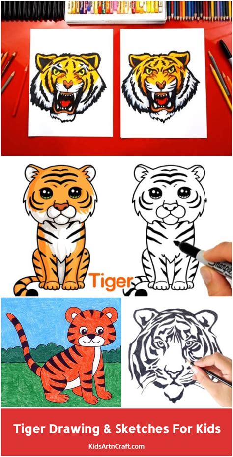 Tiger Drawing Sketches For Kids Kids Art Craft