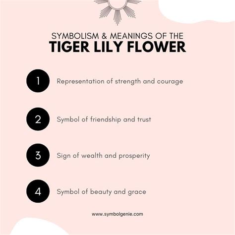 Tiger Lily Flower Symbolism Meanings And History Symbol Genie