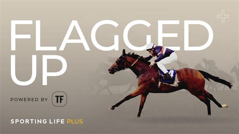 Timeform Flagged Up Selection For Today Amp 39 S Horse Racing