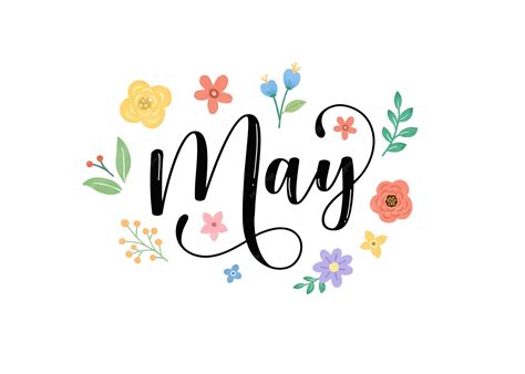 Tipograf A De Letras Del Mes De Mayo Dibujada A Mano Para Portada Tipograf A De Letras Del Mes De Mayo Dibujada A Mano Para Portada