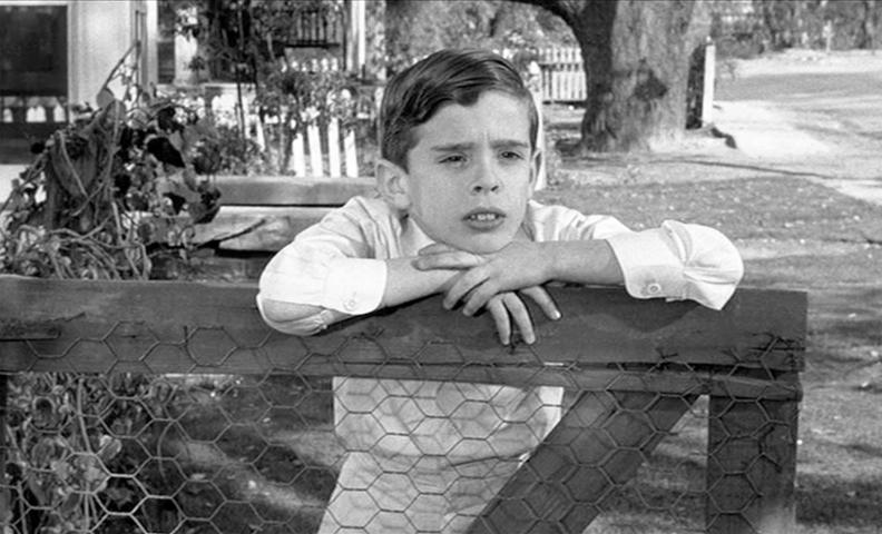 To Kill A Mockingbird Dill Harris Character Sketch Personal And