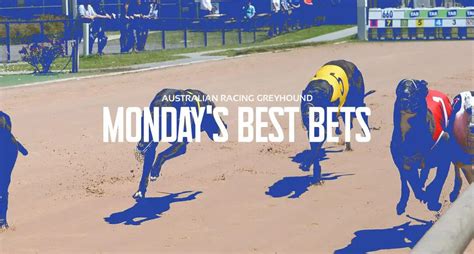 Today S Greyhound Racing Tips Best Bets
