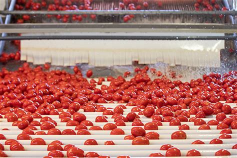 Tomato Co Packer Amp Private Label Manufacturer San Benito Foods Neil Tomato Co Packer Amp Private Label Manufacturer San Benito Foods Neil