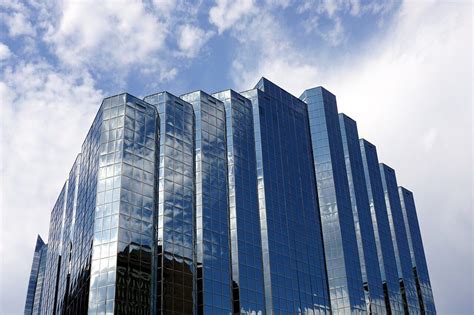 Top 10 Highest Paying Marine Biology Jobs 2026 Inc Salaries Nexford University