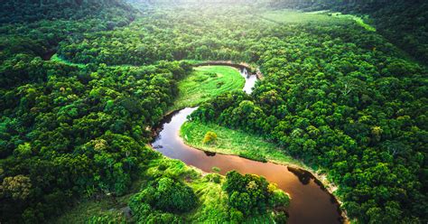 Top 10 Longest Rivers In The World 2023 Bbc Science Focus