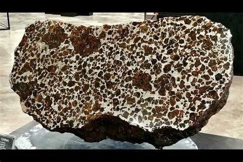 Top 11 Famous Meteorites Fossilera Com Top 11 Famous Meteorites Fossilera Com