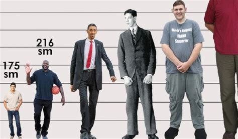Top 29 How Tall Is 59 Inches In Feet Top 29 How Tall Is 59 Inches In Feet