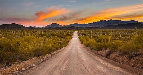 Top 5 Cars To Drive In Arizona From The Desert To The Highways Journey On
