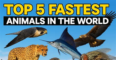 Top 5 Fastest Animals On Earth Shorts Animals Wildanimals Top5