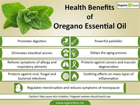 Top 5 Uses For Oregano Oil Oregano Oil Benefits Essential Oils