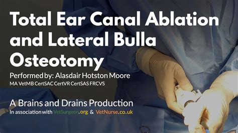 Total Ear Canal Ablation Combined With Lateral Bulla Osteotomy For End Total Ear Canal Ablation Combined With Lateral Bulla Osteotomy For End