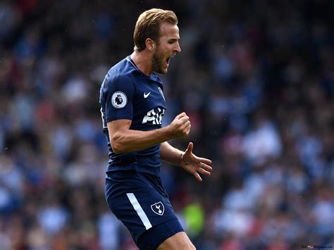 Tottenham Hotspur Fc Football Player Harry Kane Celebrating 4K Tottenham Hotspur Fc Football Player Harry Kane Celebrating 4K