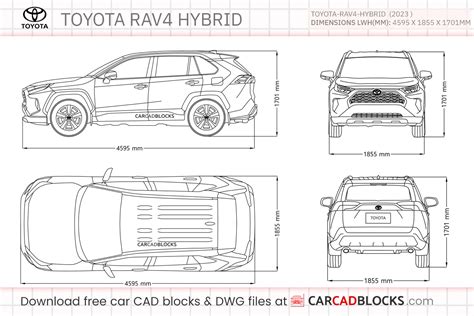 Toyota RAV4 Length: Complete Guide to Dimensions and Space