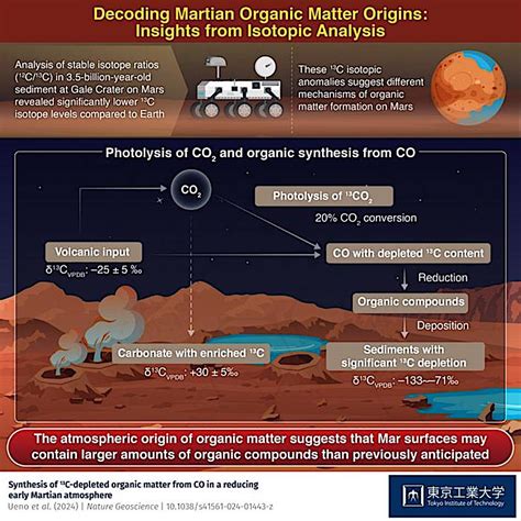Tracing The Origins Of Organic Matter In Martian Sediments
