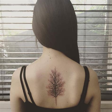Tree Tattoo On The Upper Back