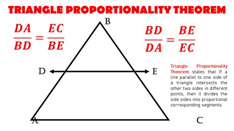 Triangle Proportionality Theorem Explained