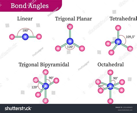 Trigonal Bipyramidal Molecule Bond Angles Shapes Study Com