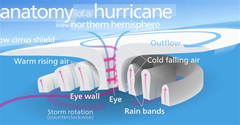 Tropical Definitions Terms You Should Know Hurricanes Tropical Definitions Terms You Should Know Hurricanes