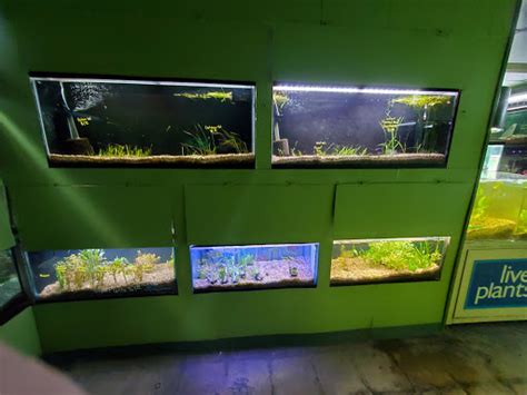 Tropical Fish Store Fish Den Inc Reviews And Photos 5055 W 44Th