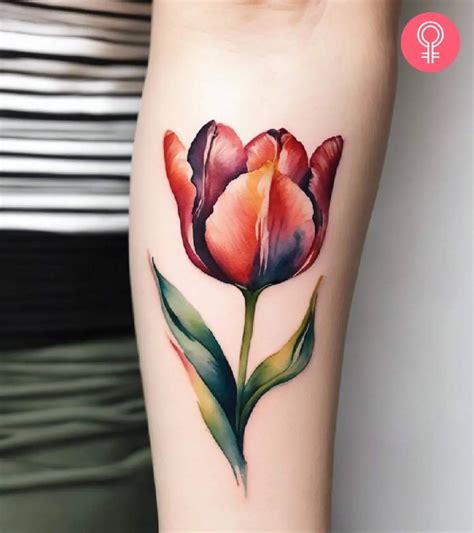 Tulip Tattoo Ideas 8 Best Designs And Their Meanings