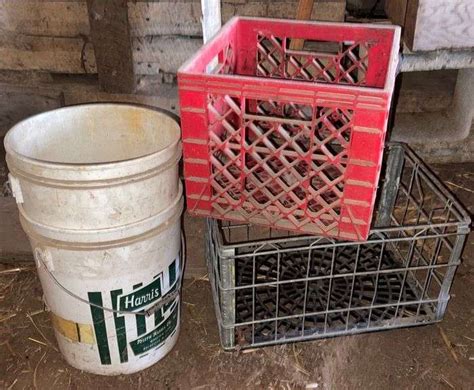 Two Crates Two Five Gallon Buckets Sherwood Auctions