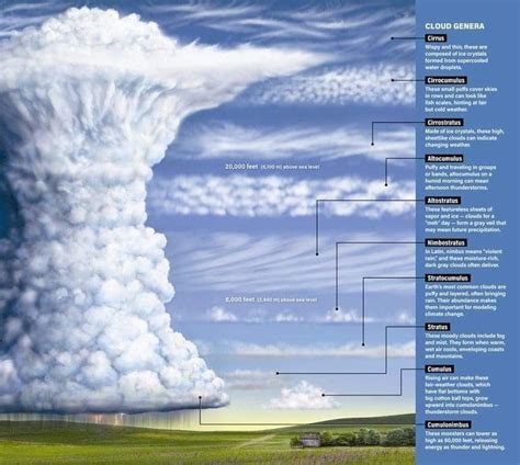 Types Of Clouds Erdkunde Naturkunde Naturwissenschaft Types Of Clouds Erdkunde Naturkunde Naturwissenschaft