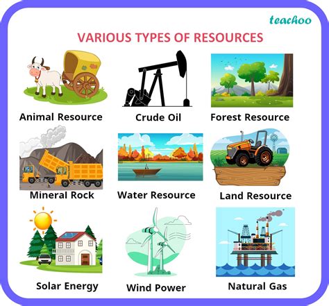 Types Of Resources Images