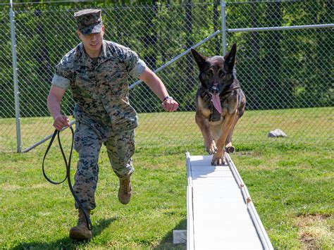 U S Marine Corps Cpl A Military Working Dog Handler With Marine Corps Base Quantico S Provost Marshall Office And Native Of Gresham Oregon Poses For A Photo With His Mwd Indira During A