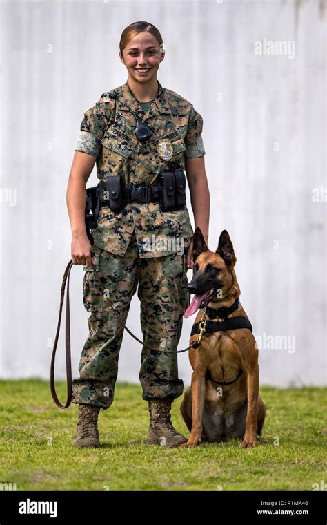 U S Marine Corps Lance Cpl A Military Working Dog Handler Assigned To Headquarters And Headquarters Squadron Marine Corps Air Station Cherry Point Trains With Her Military Working Dog Lord At Mcas Cherry