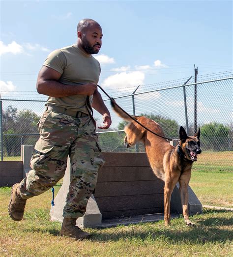 U S Navy Military Working Dog Handler Angelique Fulton With Mwd Nevil At The Cfas Maebata Ordnance Facility In Sasebo Japan
