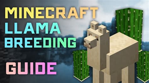 Ultimate Llama Breeding Guide: Minecraft’s Best Flock Management Tactics