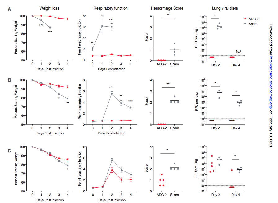 Un Anticuerpo Neutralizante Humano Potente Y Protector Contra Las
