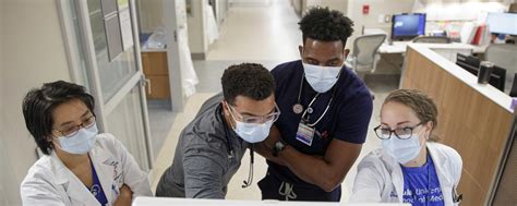 Undergraduate Training Program Duke University School Of Medicine