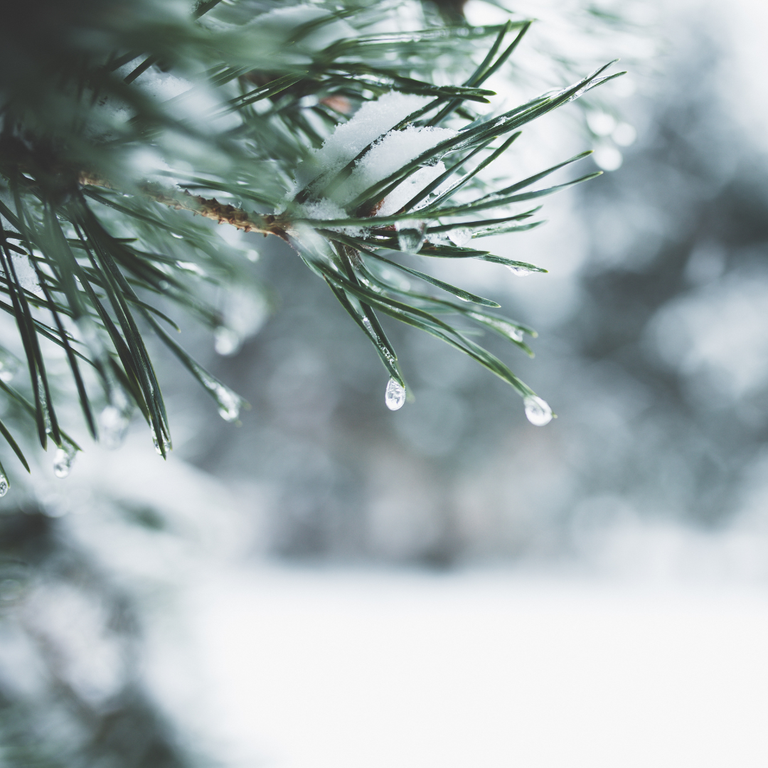 Understanding And Handling Sinus Problems The Relationship Between