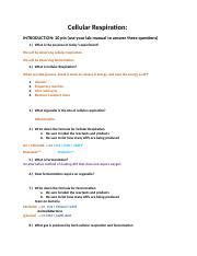 Understanding Cellular Respiration Questions And Answers Course Hero