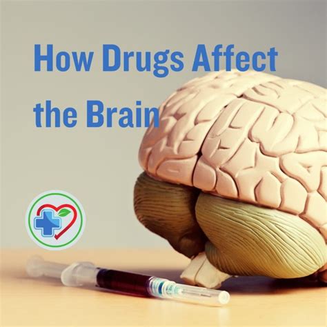 Understanding How Drugs Affect The Brain Dr Jolandi Meyer