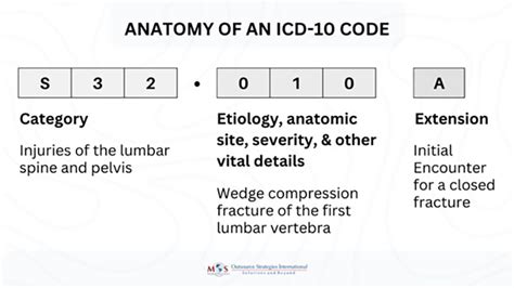Understanding Icd 10 Code Structure Understanding Icd 10 Code Structure