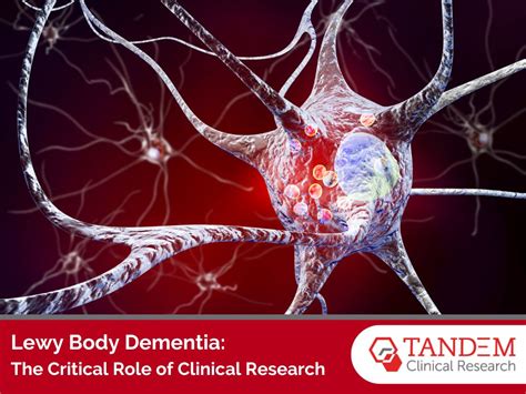 Understanding Lewy Body Dementia The Key Role Of Clinical Research Understanding Lewy Body Dementia The Key Role Of Clinical Research