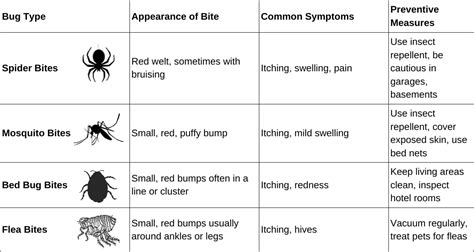Understanding What Kind Of Bug Bite Leaves A Bruise