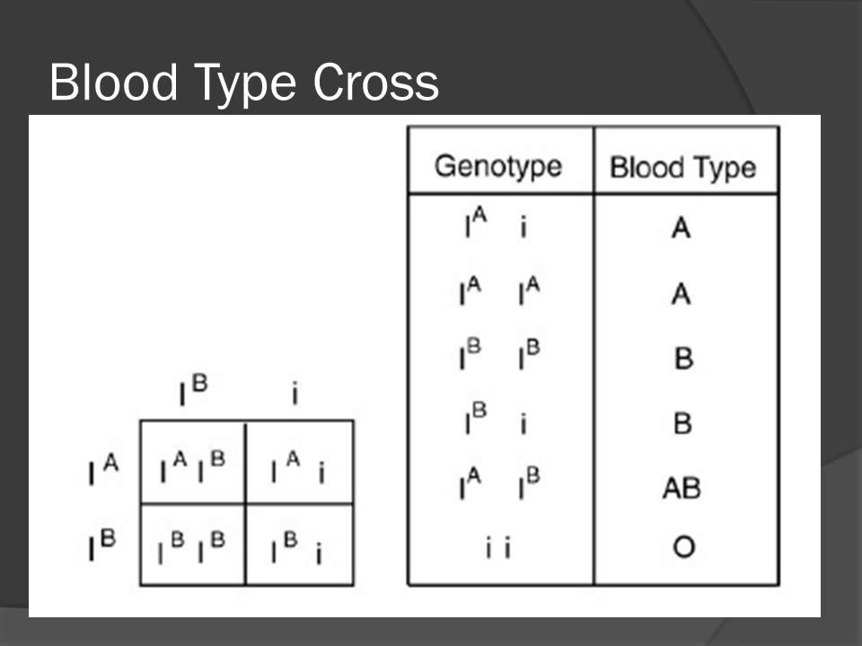 Unit 6 Blood Types And Sex Linked Traits Youtube