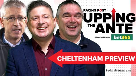 Upping The Ante Cheltenham 2024 Preview Youtube