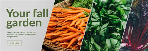 Grow Your Green Thumb with Urban Farmer Seeds: The Ultimate Guide