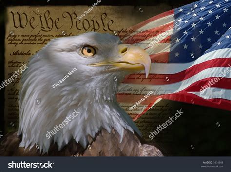 Us Flag Bald Eagle Constitution Montage Stock Photo 1618988 Shutterstock Us Flag Bald Eagle Constitution Montage Stock Photo 1618988 Shutterstock